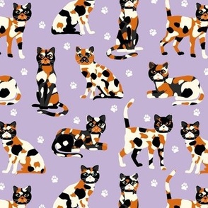 Calico Cats Purple