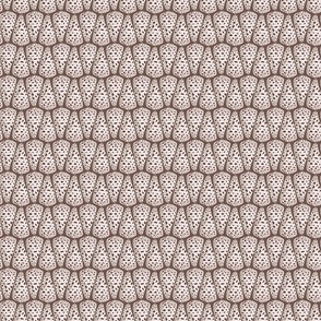 cone shells / pink and beige on brown / medium