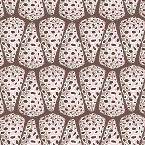 cone shells / pink and beige on brown / jumbo