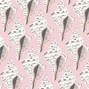 white conch shells on pink / jumbo