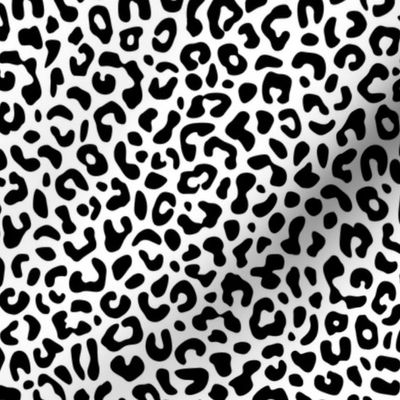 Black and White Animal Spots