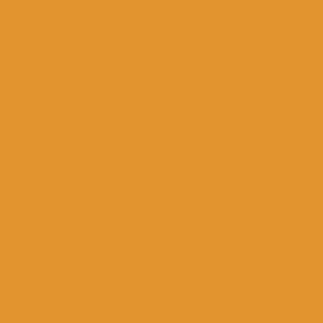 Tangerine Orange V4: Halloween Damask Coordinate Color Solid