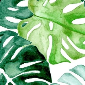 Watercolour Tropical Leaves