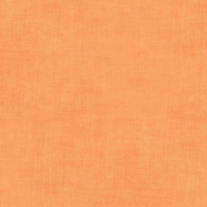 Tangerine Orange Canvas 