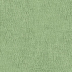 Soft Green Canvas 