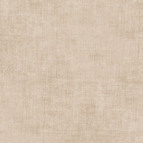 Neutral Taupe Canvas 