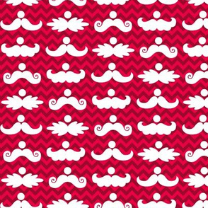 Santa_Staches_1