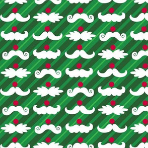 Santa_Staches_3