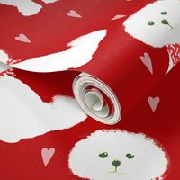 Bichon_Frise_With_Hearts_Red_medium