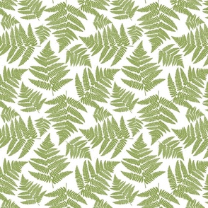 large size Fern leaves in a warm green calming fabric