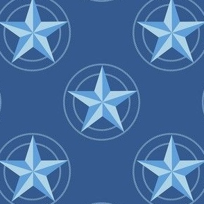 Texas Star Blue Small 4"