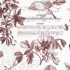 Red French Floral Toile de Jouy