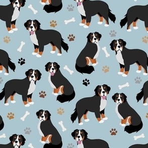 Bernese Mountain Dog Paws and Bones Blue