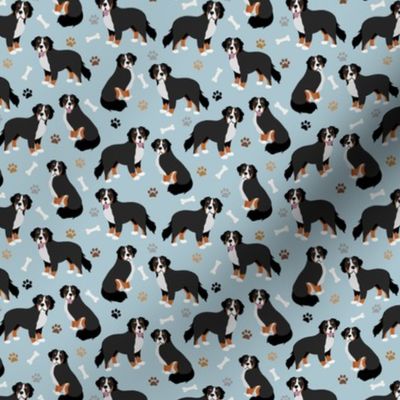 Bernese Mountain Dog Paws and Bones Small Scale Blue