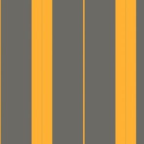 Gray and yellow Stripes