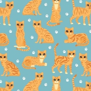Orange Tabby Cats Blue