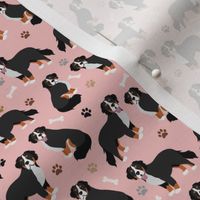 Bernese Mountain Dog Paws and Bones Small Scale Pink