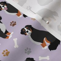 Bernese Mountain Dog Paws and Bones Purple