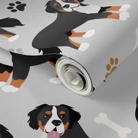 Bernese Mountain Dog Paws and Bones Gray