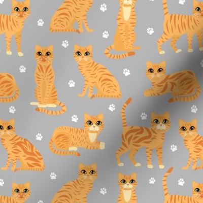 Orange Tabby Cats Gray