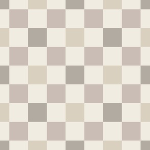 checks - bone beige_ cloudy silver_ creamy white_ silver rust - checkerboard squares