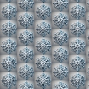 Beautiful Snowflake