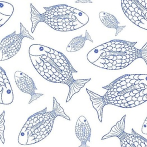 Blue Goldfish, Plain  Background