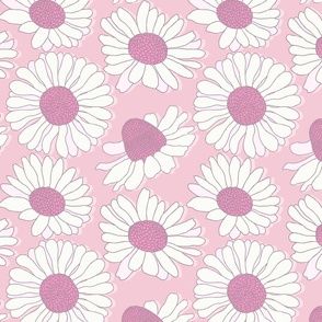 Daisy Dreams: A Splash of White and Pink Daisies