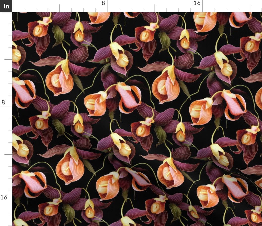 Erotic orchids  small