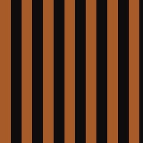 Black and Bronze Stripes