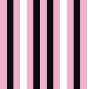 Pink Black and White Stripes