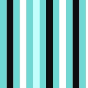 Turquoise Black and White Stripes