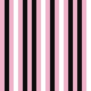 Pink Black and White Stripes small scale