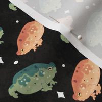 Rain Frog Galaxy extra-small scale