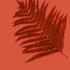 fern_frond_coral_red