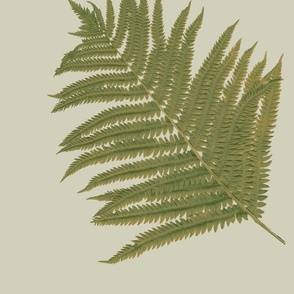 fern_frond_olive_gold