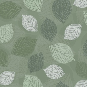 Hydrangea Leaves in Dark Green, Light Green and Light Gray