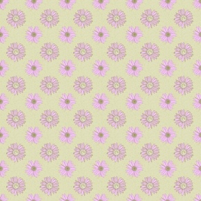 1.5 Inch Pink Daisy Flowers Scattered on Pastel Green 