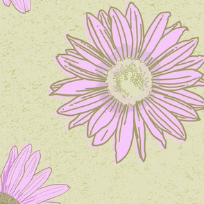 Jumbo Pink Daisy Flowers Scattered on Pastel Green 24"