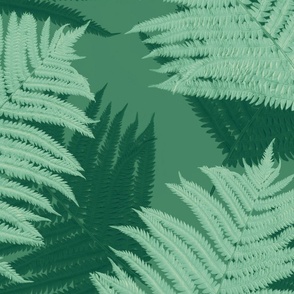 fern_fronds_green