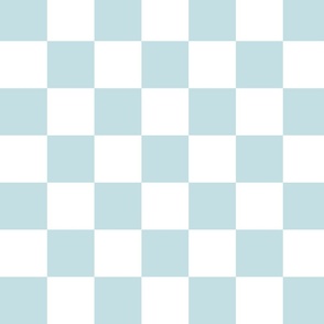 medium-Checkered white and light blue