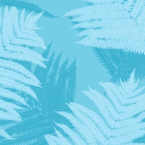 fern_frond_aqua_sky_blue