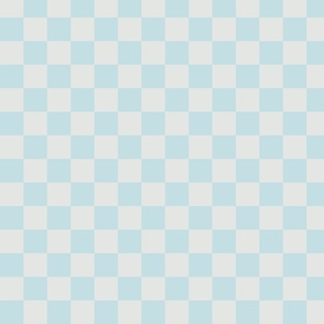 small-Checkered light blue and platinum grey