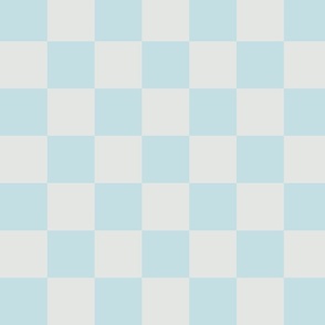 medium-Checkered light blue and platinum grey