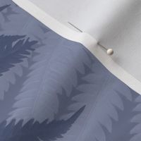 fern_fronds_blue_grey