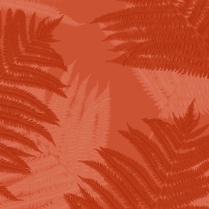 fern_fronds_coral