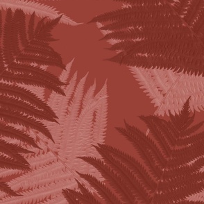 fern_fronds_clay_red_rust