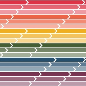 vintage sportswear - rainbow chevron arrows in different shades 