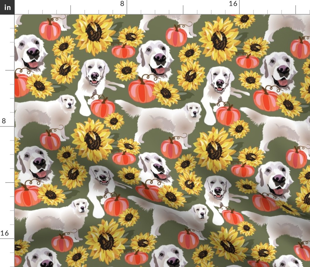 large print // English Cream Golden Retriever Ryan  in pumpkins and sunflowers