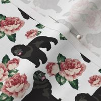 small print //Newfoundland Dogs and Old English Roses Pink Big Black Dog Puppy